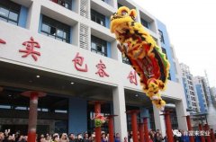 醒狮贺岁，开云手机入口官网-开云(中国)2019年开工大吉
